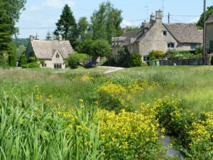 Wildflower meadow and traditional honey-stone cottages in a peaceful Cotswolds village during late spring